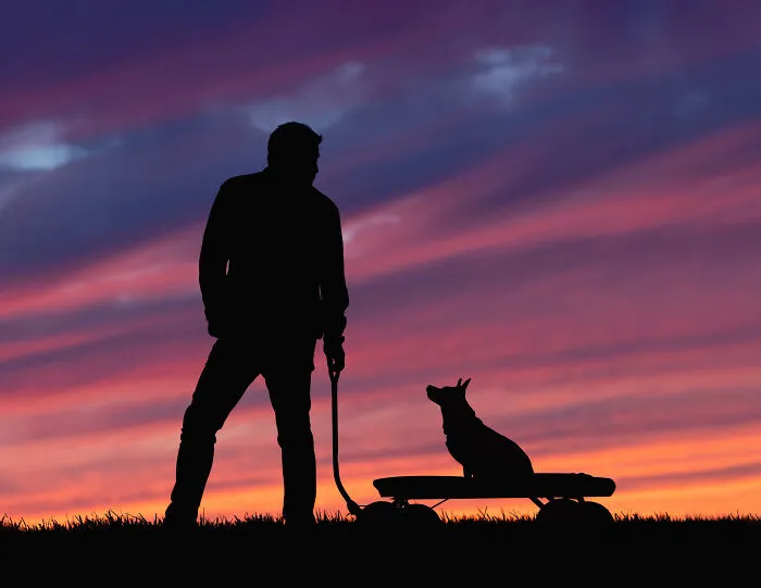 Pets And People Finalist: Joanne Merner