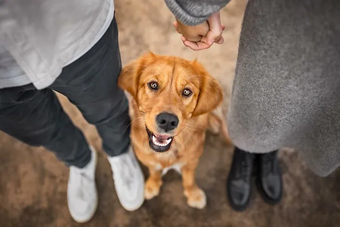 Pets And People Finalist: Sabrina Theden