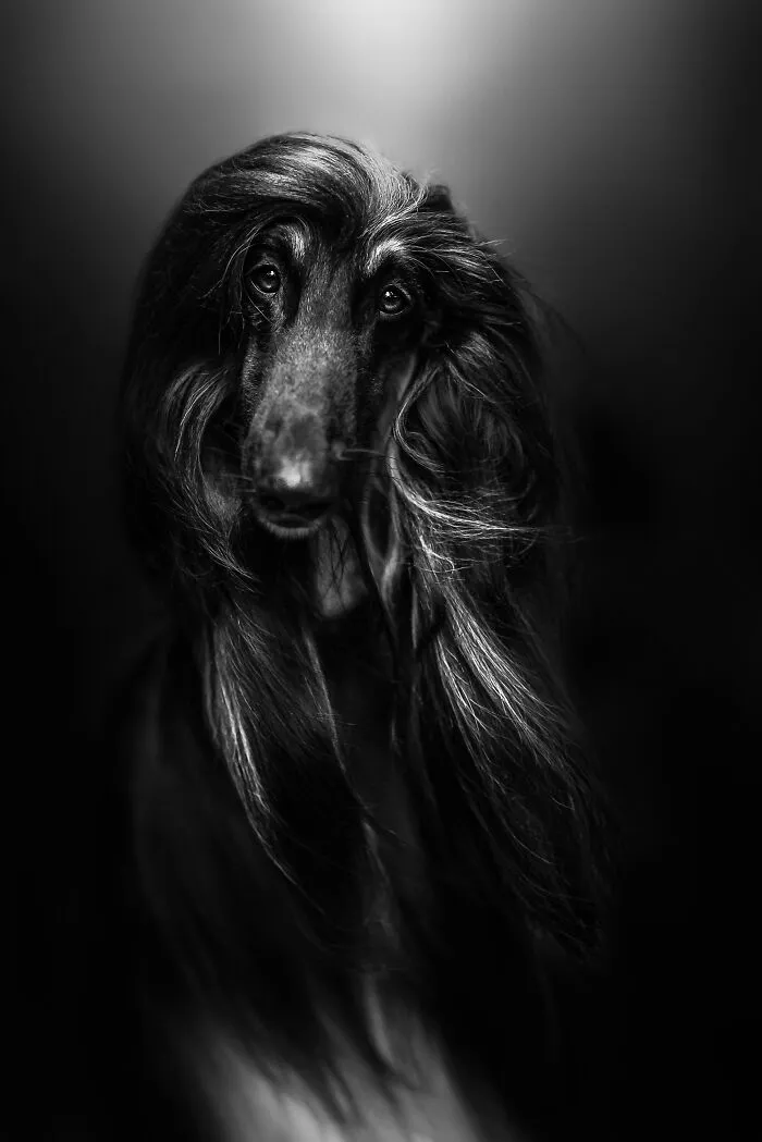 Portrait Finalist: Alicja Zmyslowska