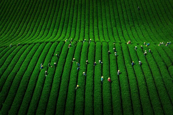 This Photographer Takes Breathtaking Drone Pictures Of Vietnam (39 Pics)