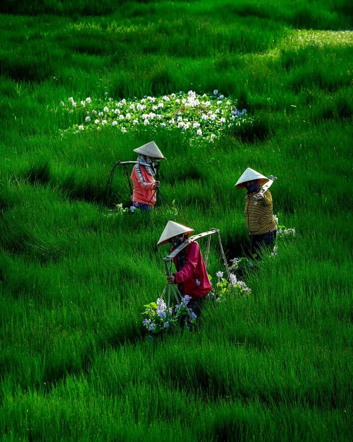 This Photographer Takes Breathtaking Drone Pictures Of Vietnam (39 Pics)