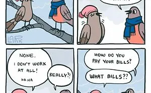 40 Funny Comics About A Cat Hiring Birds In His Company By This Brazilian Artist
