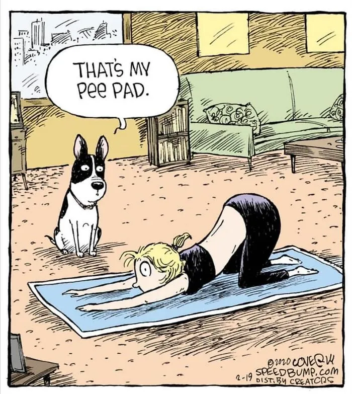 25 Humorous One-Panel Comics By Dave Coverly Featuring The Quirks Of Human Behavior, Animals And More