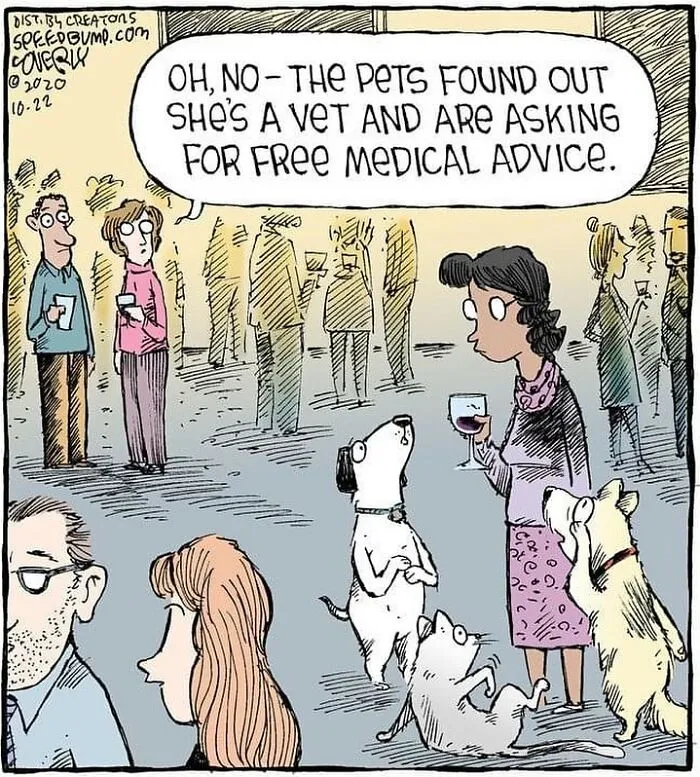 25 Humorous One-Panel Comics By Dave Coverly Featuring The Quirks Of Human Behavior, Animals And More