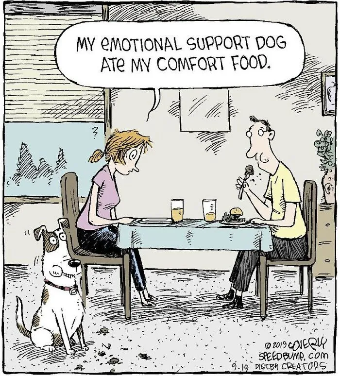 25 Humorous One-Panel Comics By Dave Coverly Featuring The Quirks Of Human Behavior, Animals And More