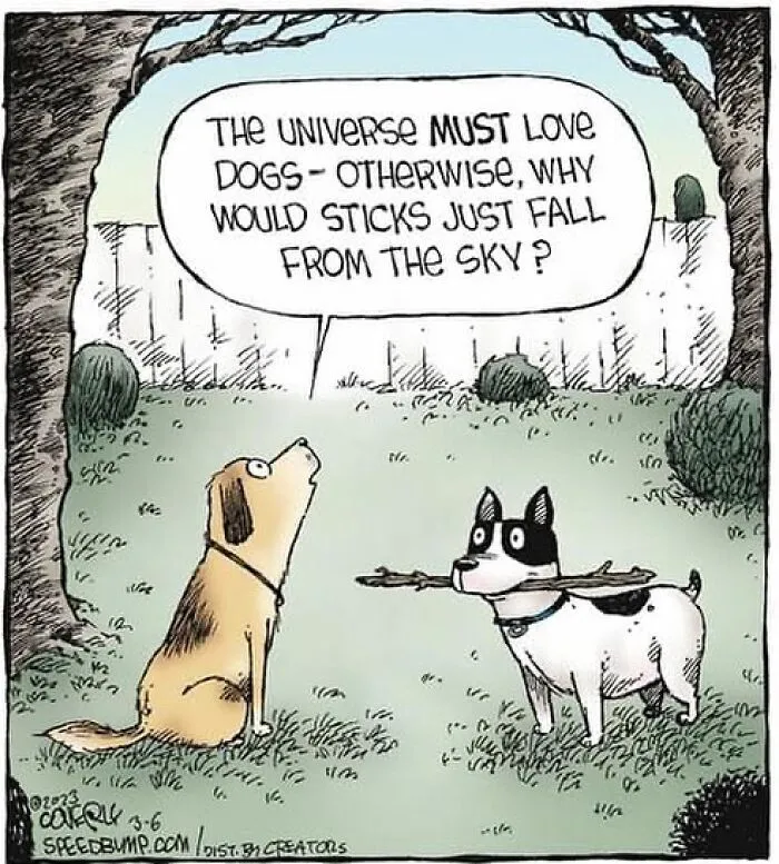 25 Humorous One-Panel Comics By Dave Coverly Featuring The Quirks Of Human Behavior, Animals And More