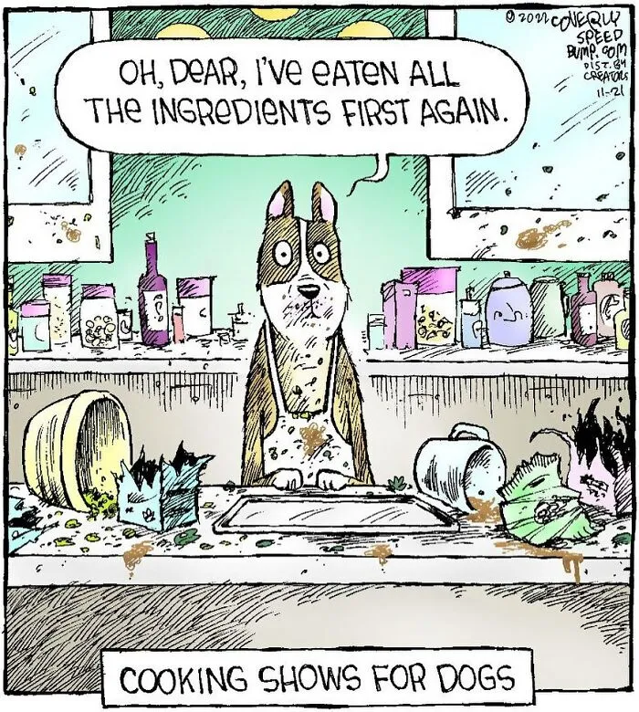 25 Humorous One-Panel Comics By Dave Coverly Featuring The Quirks Of Human Behavior, Animals And More