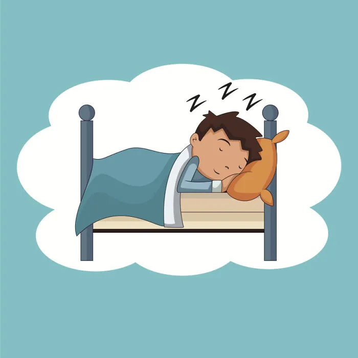 1. We Spend About One-Third Of Our Lives Asleep. The Average Adult Needs Around 7-8 Hours Of Sleep Per Night