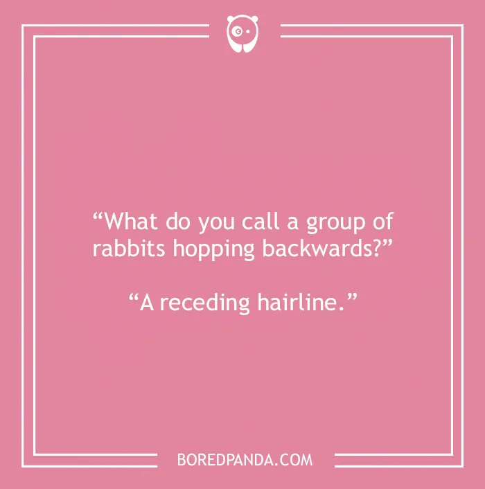 Bald joke about group of rabbits 