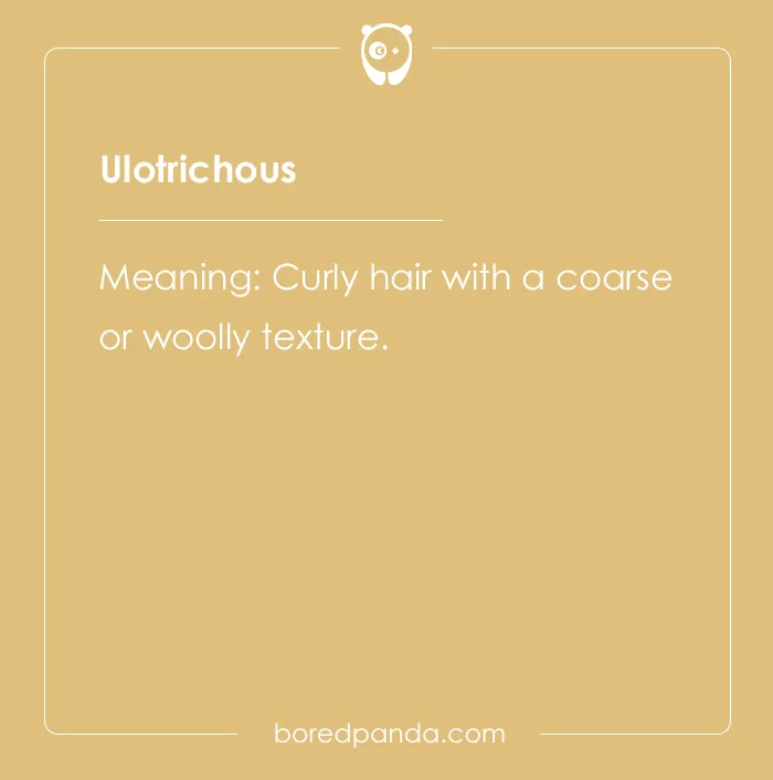 150 Euphonious Beautiful Words To Add To Your Dictionary