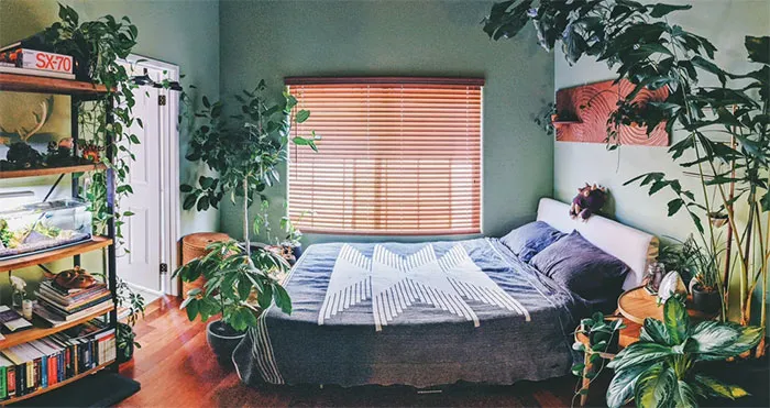 Living In The Jungle