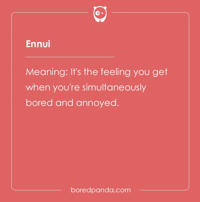 A Comprehensive List Of Big Words To Sound Smart