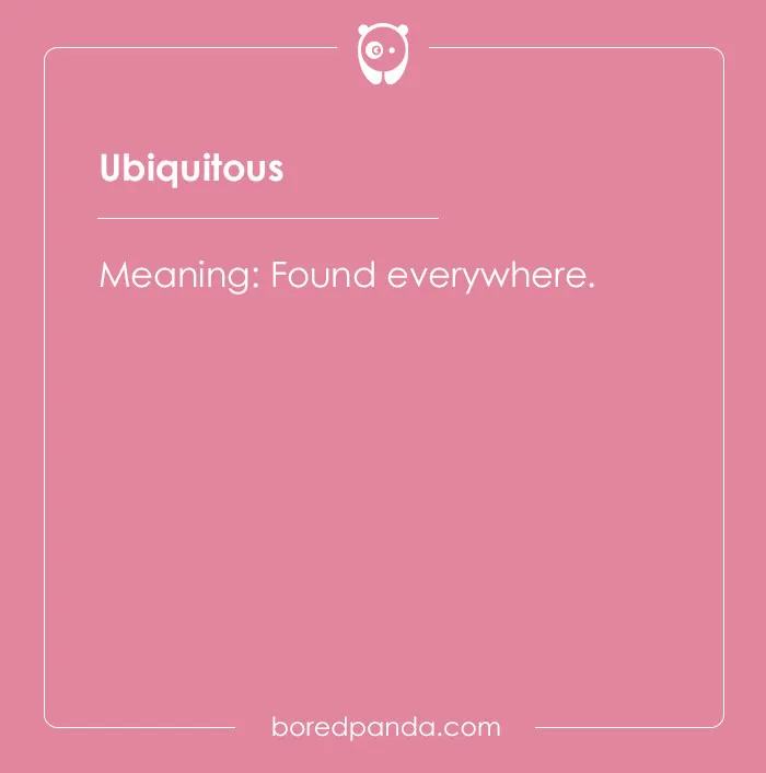 A Comprehensive List Of Big Words To Sound Smart