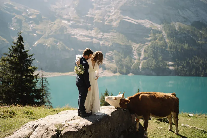 I Continue To Help Couples Ditch The Big Wedding And Elope In The Places That Make Them Feel Alive (30 New Pics)