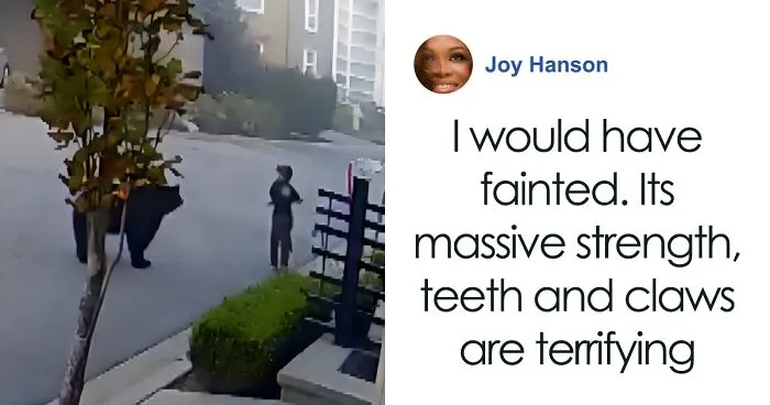 7-Year-Old Boy Goes Face-To-Face With A Bear, Gets Saved By A Brave Neighbor