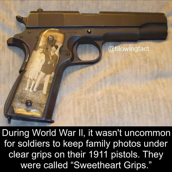 50 Of The Most Fascinating Facts Shared On The “Blowing Fact” Instagram Page (New Pics)