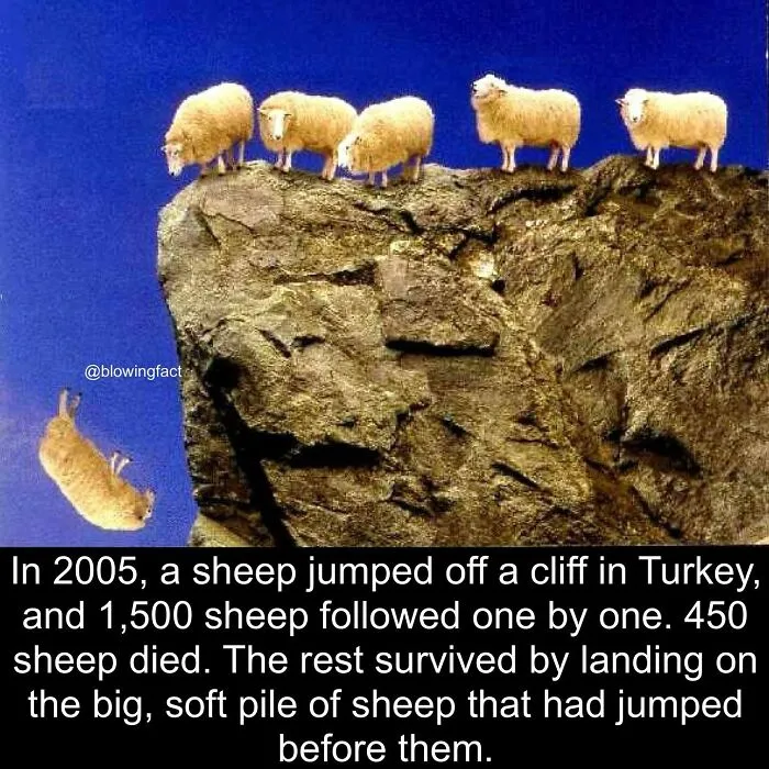50 Of The Most Fascinating Facts Shared On The “Blowing Fact” Instagram Page (New Pics)