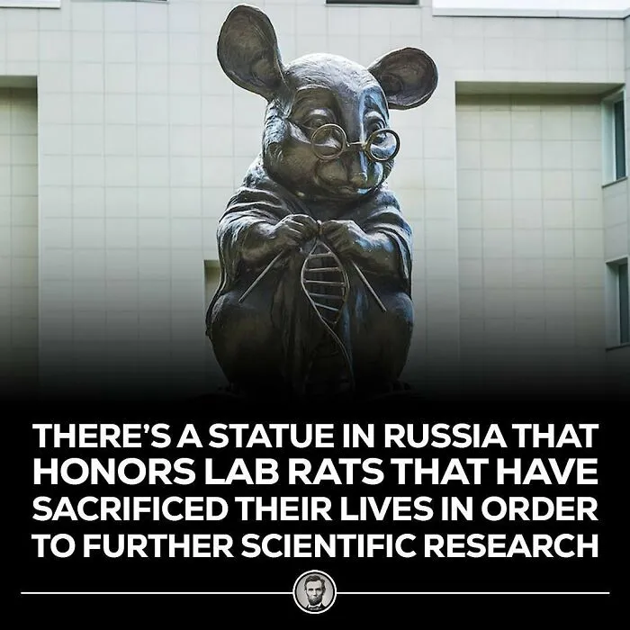 Interesting-Blowing-Facts-Pics