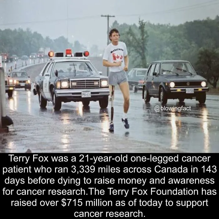 50 Of The Most Fascinating Facts Shared On The “Blowing Fact” Instagram Page (New Pics)