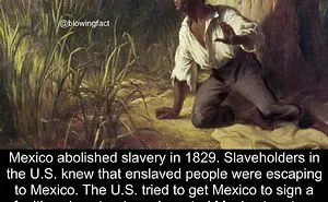 50 Of The Most Fascinating Facts Shared On The “Blowing Fact” Instagram Page (New Pics)