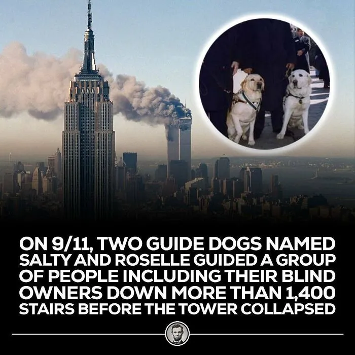 50 Of The Most Fascinating Facts Shared On The “Blowing Fact” Instagram Page (New Pics)