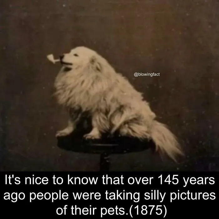 50 Of The Most Fascinating Facts Shared On The “Blowing Fact” Instagram Page (New Pics)