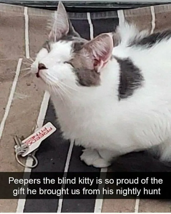 So Cute