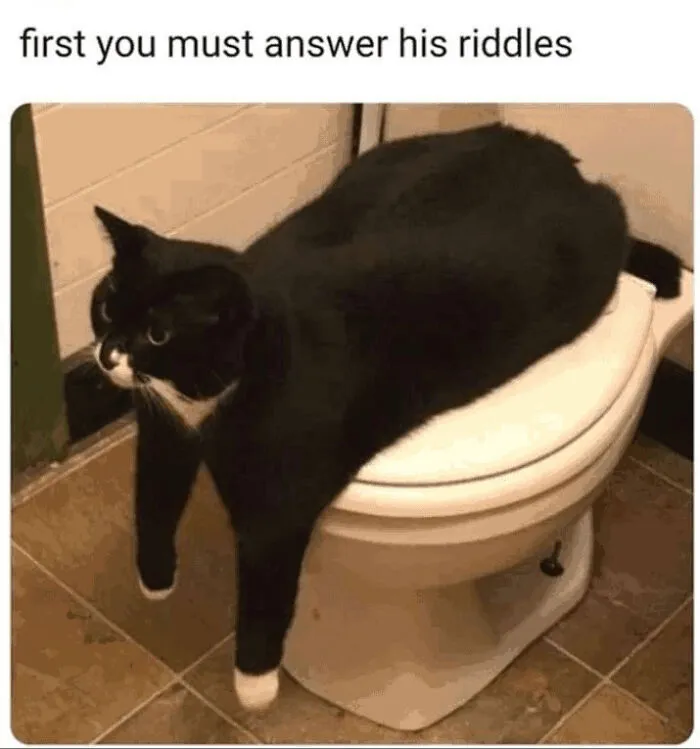 Give Me Food And I Meow, Give Me Water And I Thrive. What Am I?