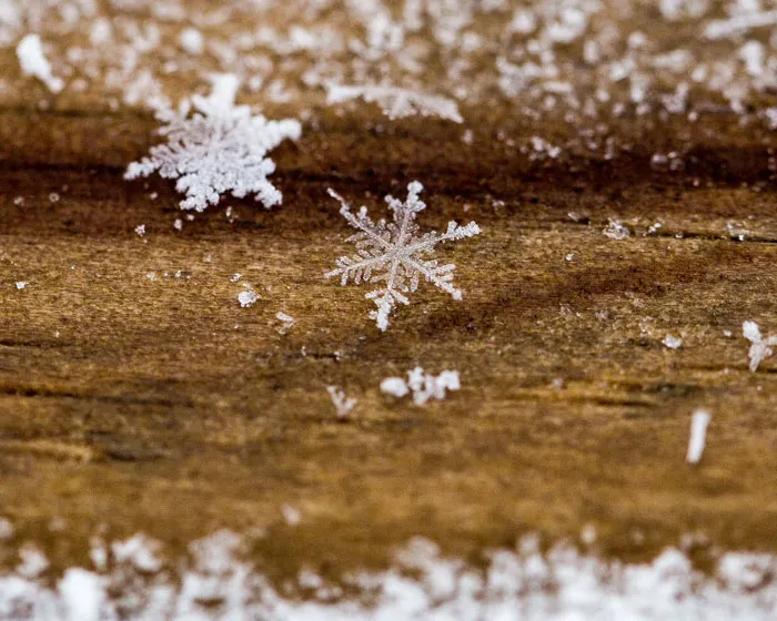 135 Christmas Trivia Questions To Make The Wait A Bit More Festive