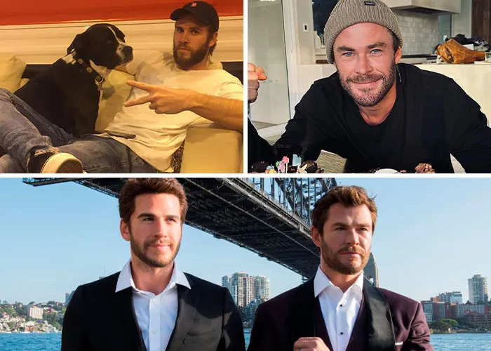 Chris And Liam Hemsworth