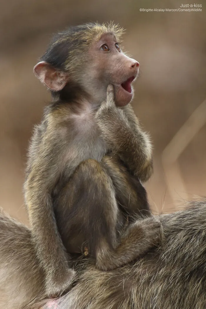 "Just A Kiss" By Brigitte Alcalay Marcon