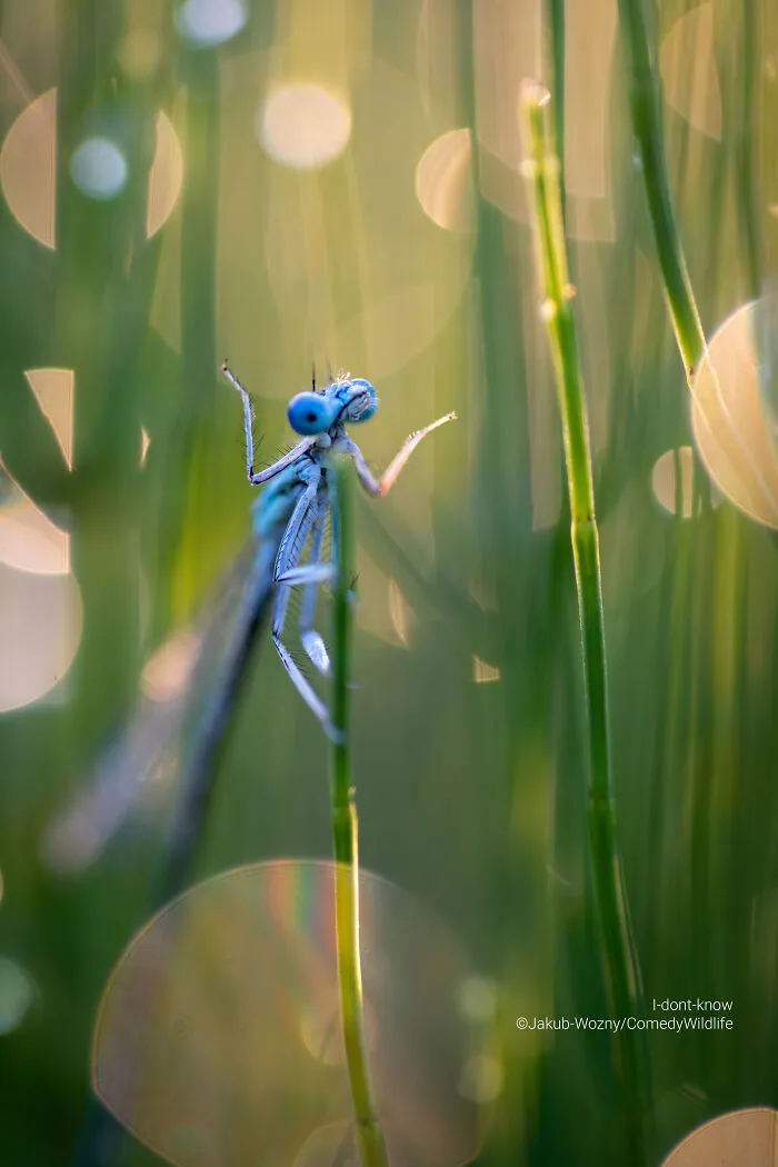 "I Don't Know" By Jakub Wozny