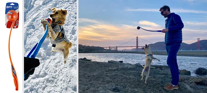 ChuckIt! Dog Ball Launcher: Not only propels the ball farther & faster but also keeps you slobber-free, ensuring your playful pup gets the exercise they need.