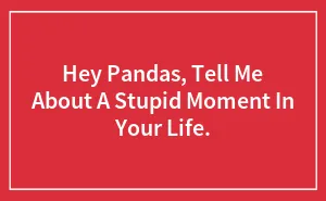 Hey Pandas, Tell Me About A Stupid Moment In Your Life.