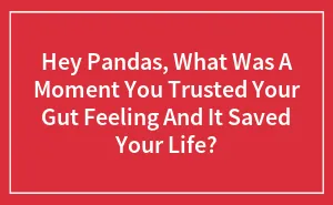 Hey Pandas, What Was A Moment You Trusted Your Gut Feeling And It Saved Your Life? (Closed)
