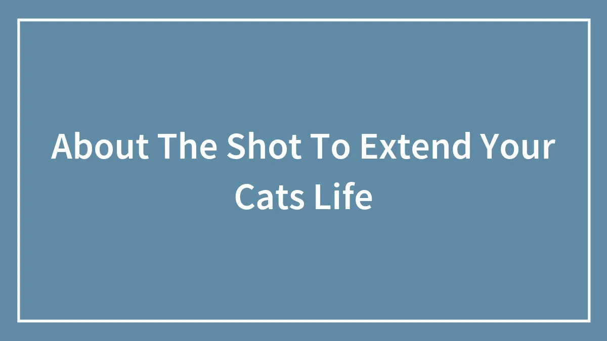 About The Shot To Extend Your Cats Life