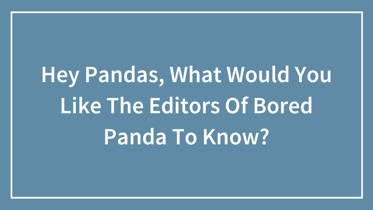 Hey Pandas, What Would You Like The Editors Of Bored Panda To Know?