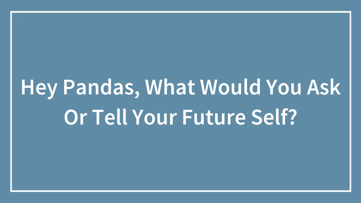 Hey Pandas, What Would You Ask Or Tell Your Future Self? (Closed)