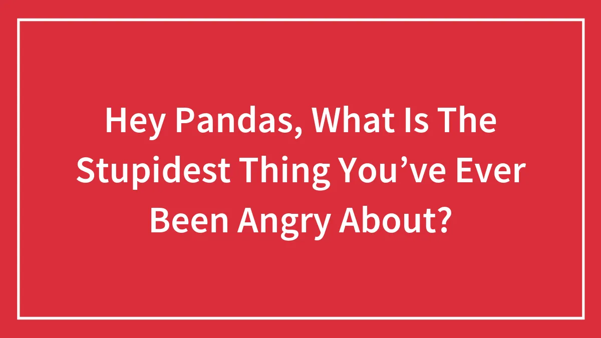Hey Pandas, What Is The Stupidest Thing You’ve Ever Been Angry About? (Closed)
