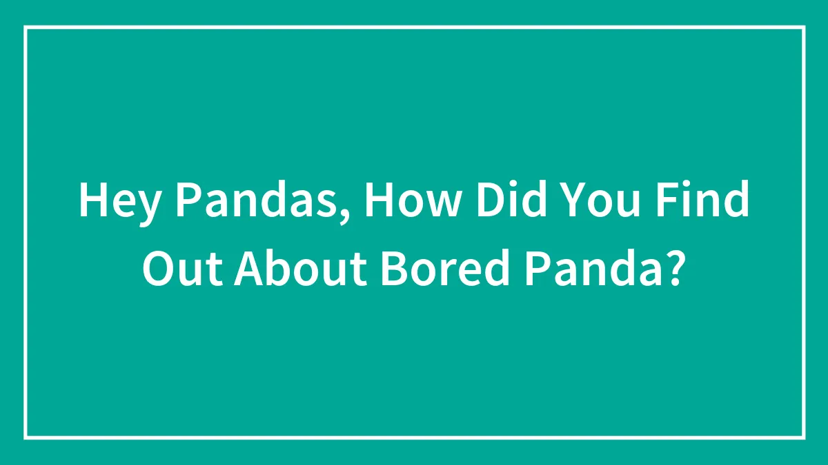 Hey Pandas, How Did You Find Out About Bored Panda? (Closed)