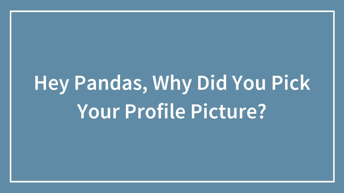 Hey Pandas, Why Did You Pick Your Profile Picture? (Closed)