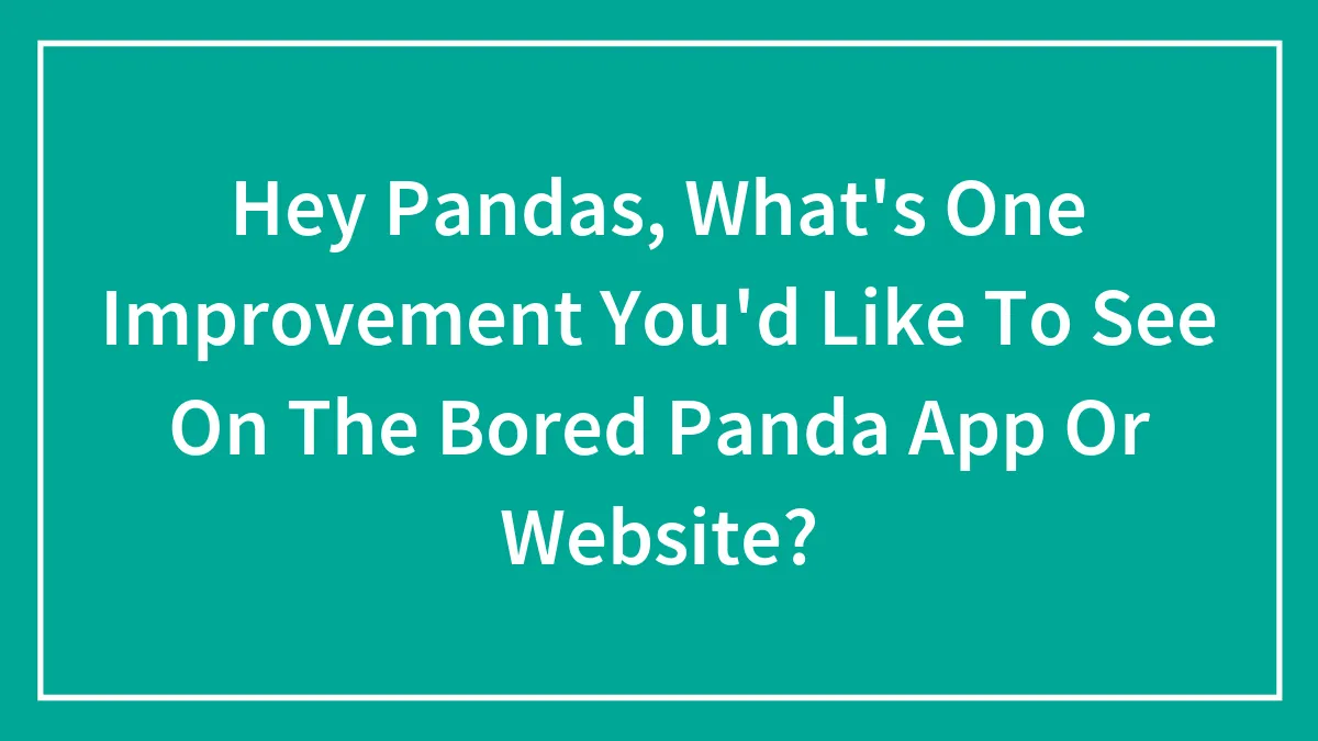 Hey Pandas, What's One Improvement You'd Like To See On The Bored Panda App Or Website? (Closed)