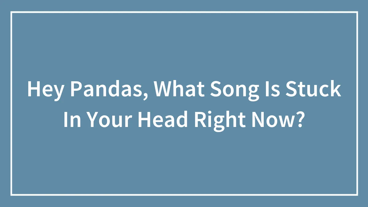 Hey Pandas, What Song Is Stuck In Your Head Right Now?