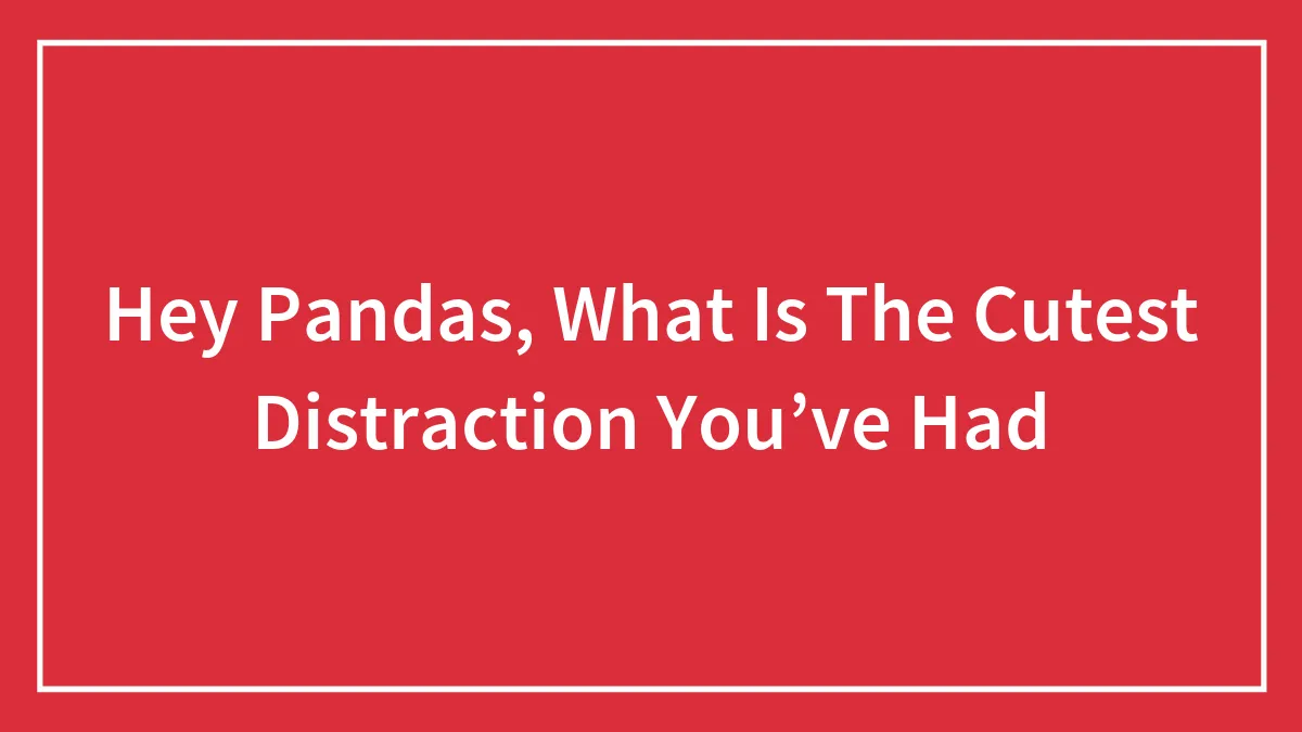 Hey Pandas, What Is The Cutest Distraction You’ve Had