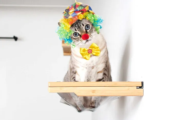 Spooky Clown