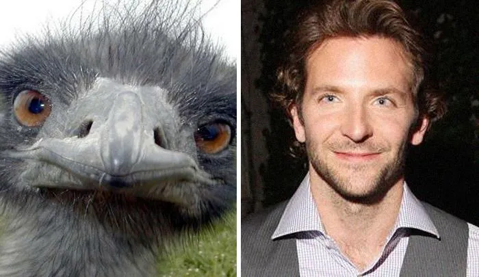 30 Celebridades y sus parecidos razonables más divertidos