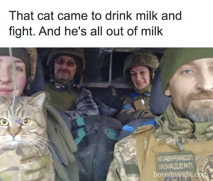 50 Hilarious Animal Memes From This Instagram Page