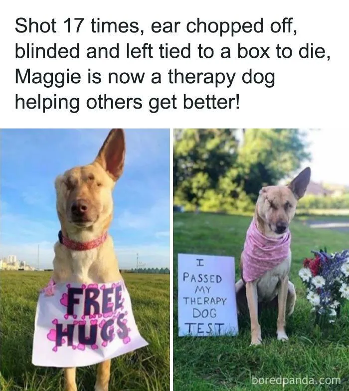 These 45 Pics Were Supposed To Be Wholesome, But Actually Show How Messed Up Our Society Is (New Pics)