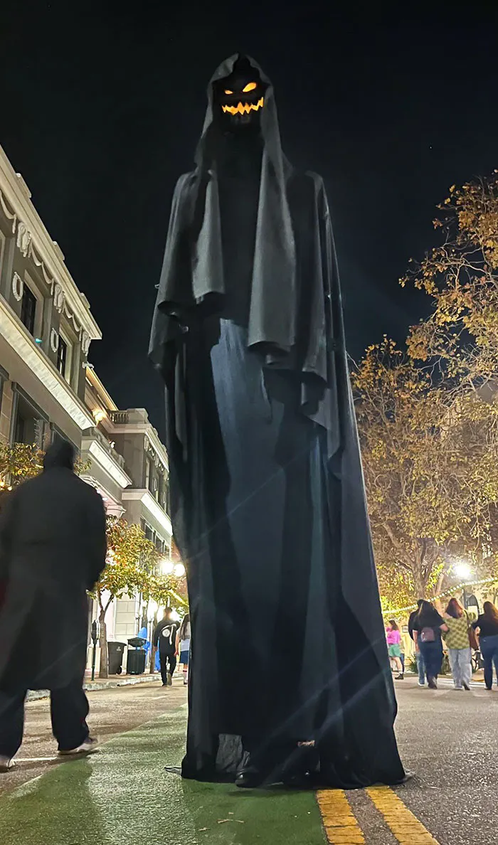 My Halloween Costume This Year - 12 Feet Tall