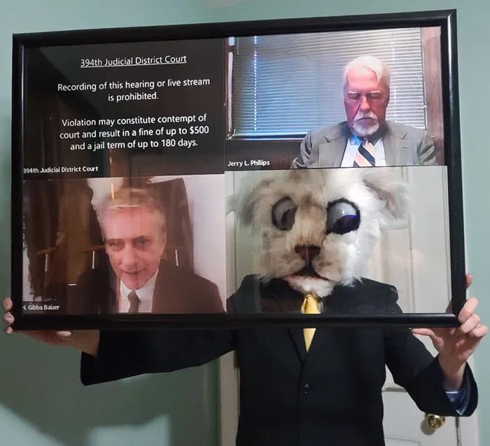 Person dressed in a clever Halloween costume mimicking a virtual court hearing with a cat face mask and suit.